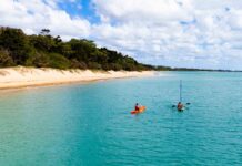 Queensland’s Hervey Bay: A Sanctuary for Wildlife and Adventure
