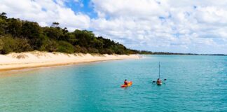 Hervey Bay de Queensland: um santuário para vida selvagem e aventura