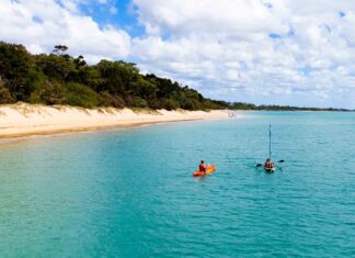 Невибагливе прибережне місто Квінсленда, де морське життя, охорона природи та пригоди зустрічаються в незайманих водах