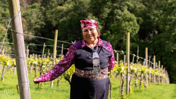 24ae054c-e88c-4b17-82d0-88244f8a3eca