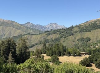 Post Ranch Inn: чому ця відпустка в Біг-Сурі переосмислила медовий місяць