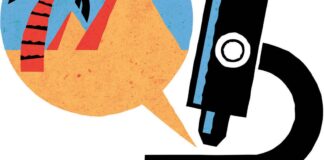 The Rise of the “Microvacation”: Maximizing Travel in a Time-Strapped World