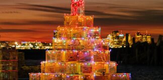 Alberi di trappola per aragoste: una tradizione natalizia del New England affronta il controllo