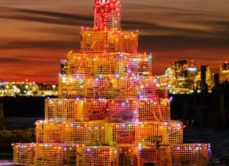 Дерева-пастки для омарів: різдвяна традиція Нової Англії під пильною увагою