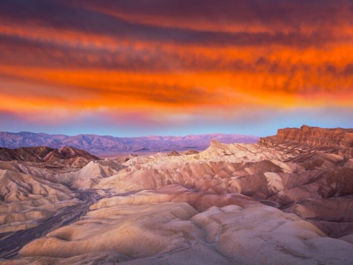 a8c28143-d00c-4d31-85bd-dfcd550360a3