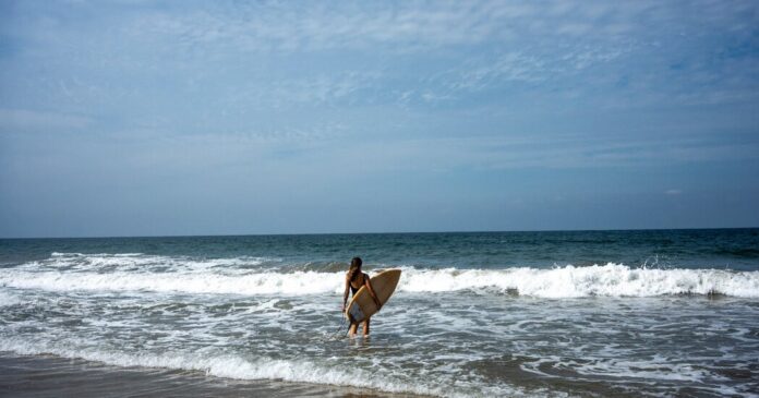 c66e3e33-f97f-405b-bfa1-52c4e202b7d1