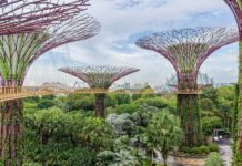 Viajes de escala estratégicos: maximizar las paradas cortas para experiencias únicas