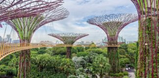 Viajes de escala estratégicos: maximizar las paradas cortas para experiencias únicas