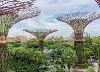 Стратегічні Пересадки: Максимізація Коротких Зупинок для Унікальних Вражень