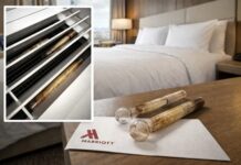 Marriott, Авіакомпанії та X: Підбірка Хаосу в Подорожах та Технологіях