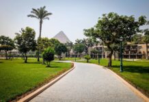 Максимізація Marriott Bonvoy: Як Заробляти та Використовувати Нагороди на Безкоштовні Ночі за 35 000 Балів