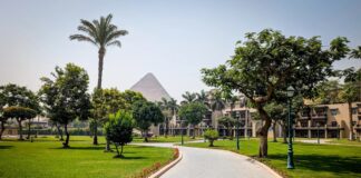 Максимізація Marriott Bonvoy: Як Заробляти та Використовувати Нагороди на Безкоштовні Ночі за 35 000 Балів