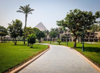 Максимізація Marriott Bonvoy: Як Заробляти та Використовувати Нагороди на Безкоштовні Ночі за 35 000 Балів