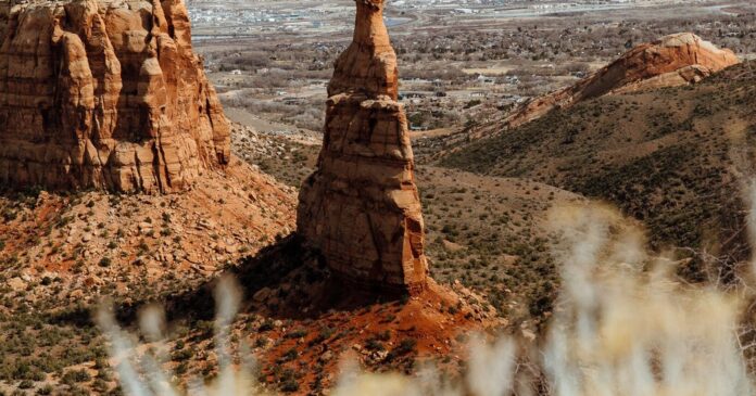 e13d8b7b-7ac8-4451-954d-8fe03046333d