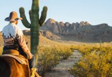 Тусон: пустельні ворота до природи та доступних подорожей