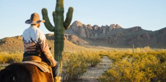 Тусон: пустельні ворота до природи та доступних подорожей