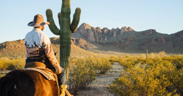 3c6a5e56-1e2c-4635-a44b-597c41d1e63b