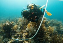 Navigating the Shifting Tides of Global Travel: From Ecological Costs to Economic Volatility