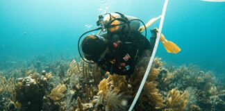 Навігація у мінливих течіях світового туризму: від екологічних витрат до економічної волатильності