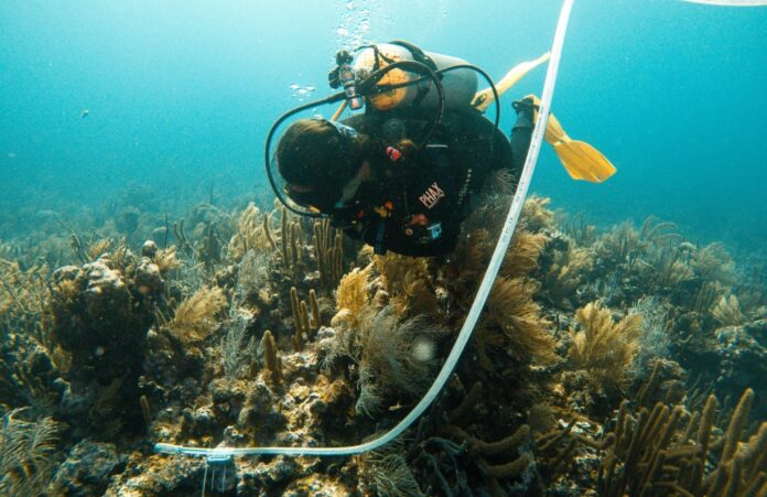 582c73b6-e103-47ca-864a-2e6714c8e98f