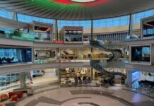 Небесні висоти зарплат: аналіз винагород керівників авіакомпаній США у 2025 році