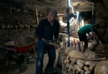 Відродження лабіринту: масштабна реставрація Паризьких катакомб