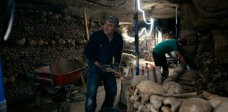 Відродження лабіринту: масштабна реставрація Паризьких катакомб