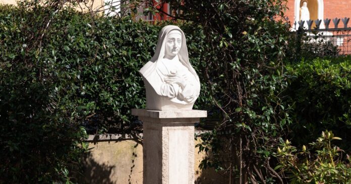 dbab380a-4af7-4dc0-a279-28a27e262492