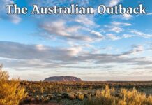 The Outback Is Not Empty. It Is Ancient, Angry, and Rich.