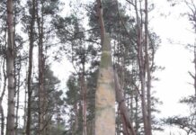 Кров у Оттерберні
