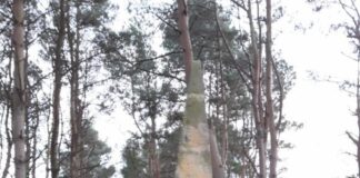 Кров у Оттерберні