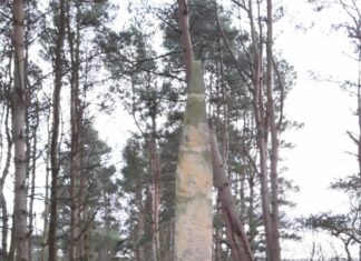 Кров у Оттерберні