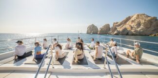 Wild Wellness