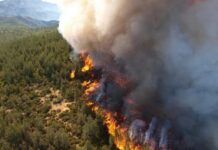 Зростає ризик лісових пожеж, а вартість страховки змушує готелі готуватися до гіршого