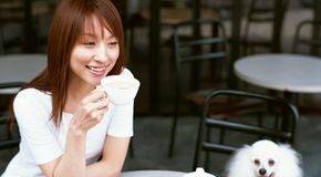 Pet-Friendly Dining: A Realistic Guide to Outdoor Eating with Dogs