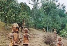 Warum die Präfektur Miyazaki Japans bestgehütetes Geheimnis für tropische Ausflüge ist